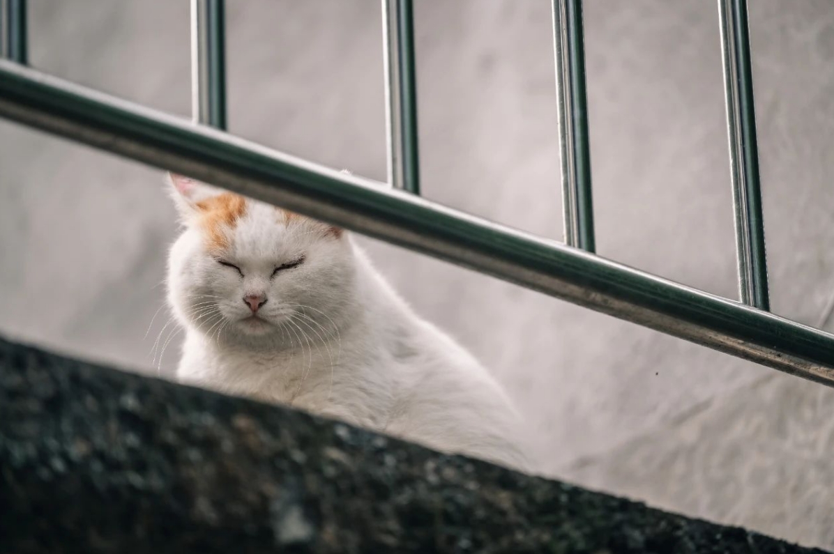 震惊！Liv活动现场集体暴打前男友！