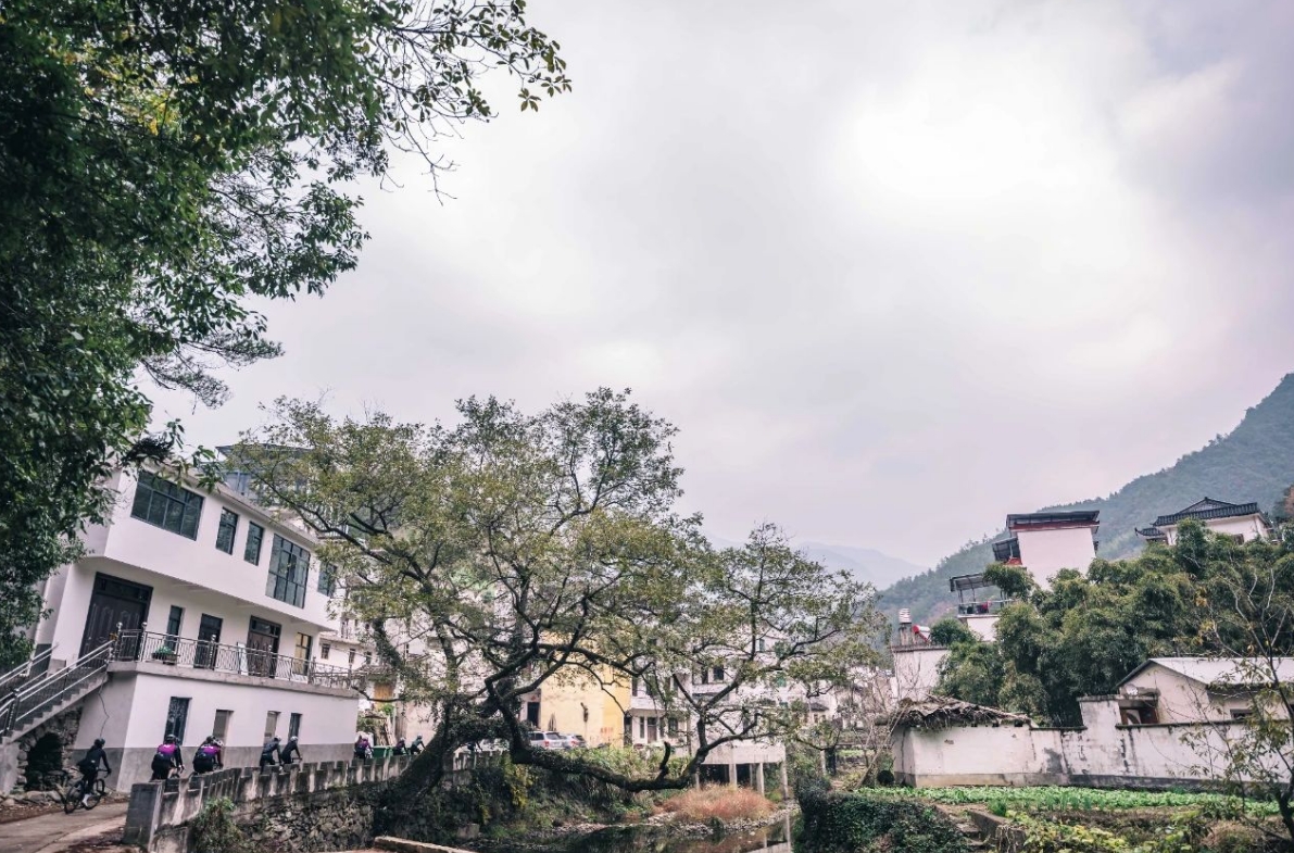 震惊！Liv活动现场集体暴打前男友！