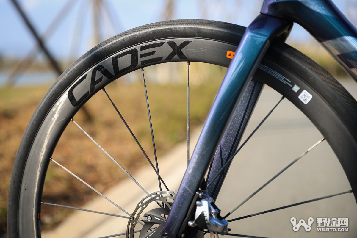 耐力王者 GIANT全新Defy Advanced SL0实测