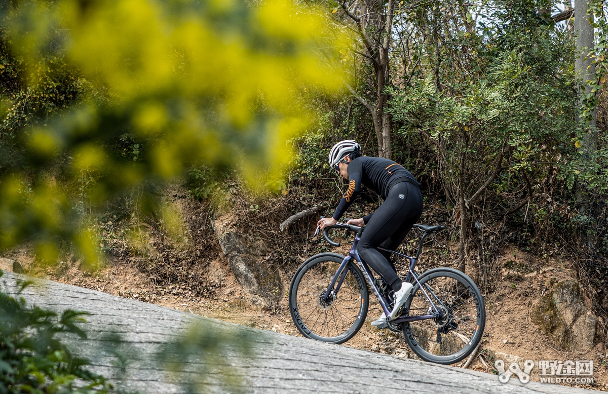 耐力王者 GIANT全新Defy Advanced SL0实测