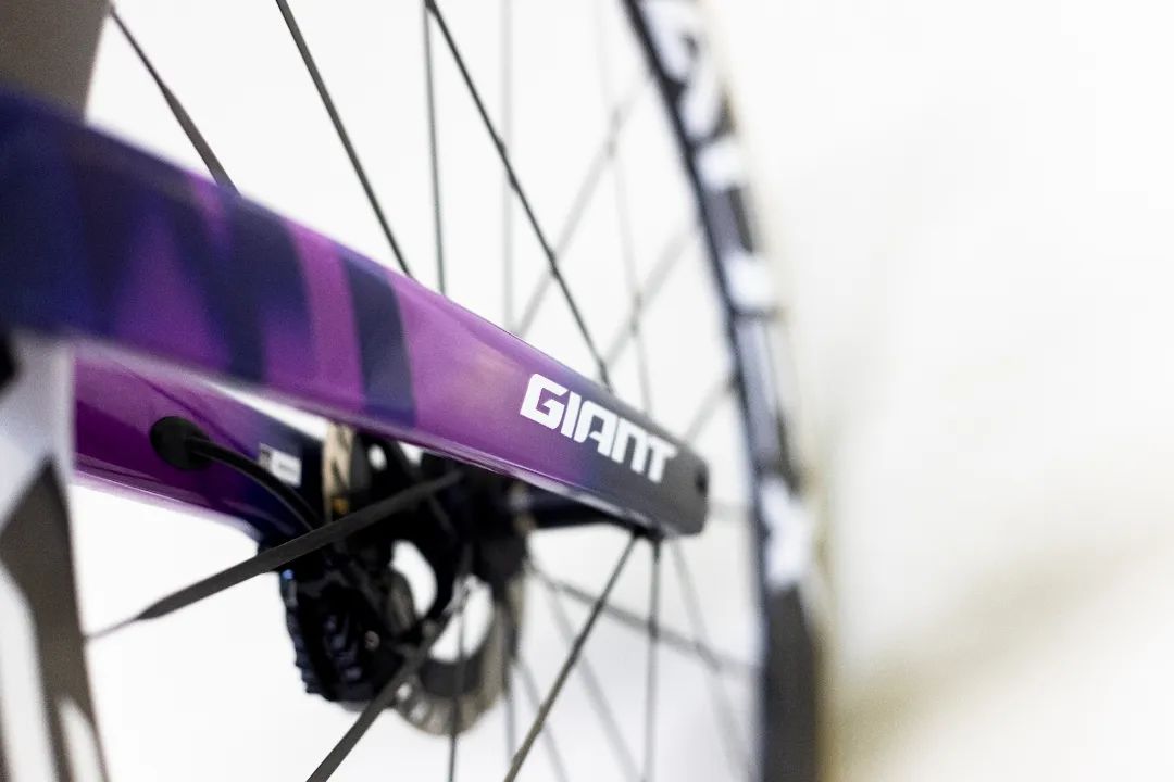 车队焕新 GIANT赞助车队Team Jayco AlUla全新面貌