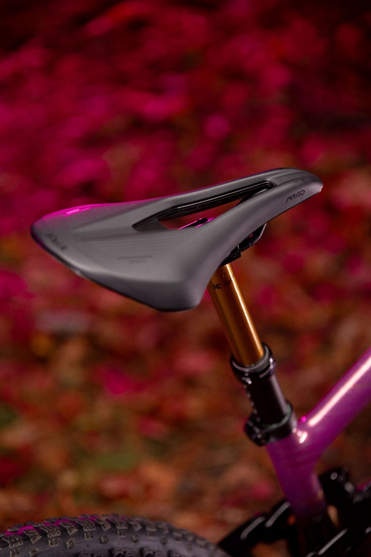【上新了Liv】第三代 PIQUE ADVANCED 29