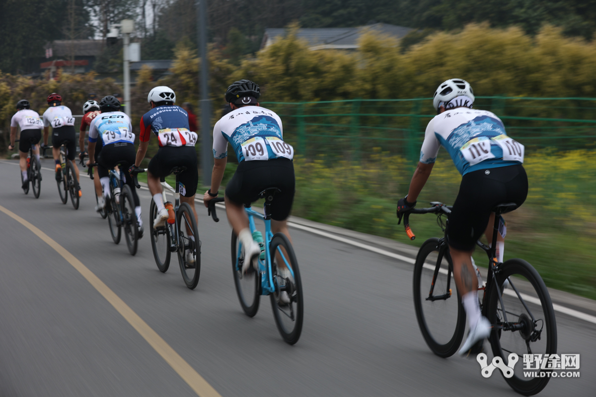 徜徉油菜花海 天府綠道國(guó)際車(chē)迷健身節(jié)（新津站）落幕