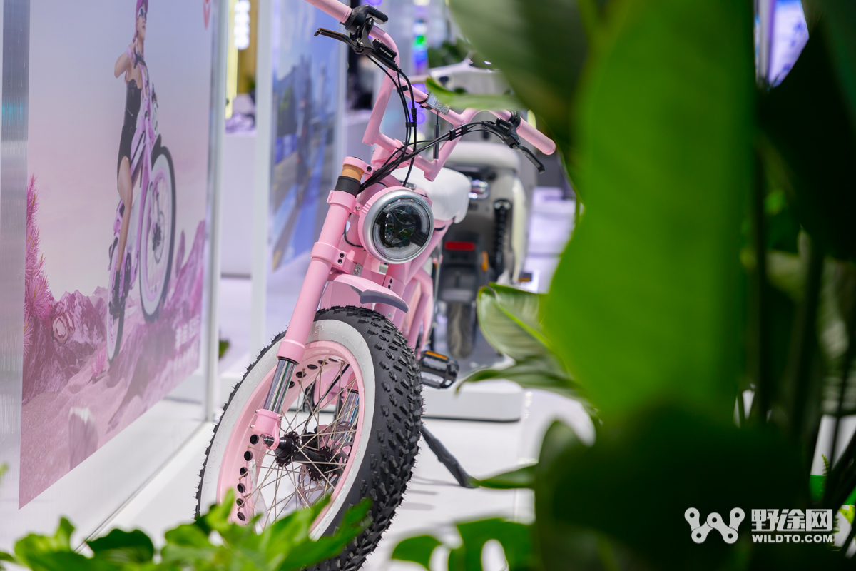 攜手共筑新未來  中國自行車參加2024品牌日活動(dòng)