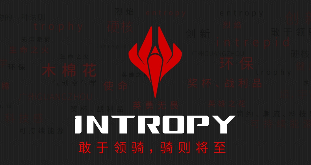 十年磨一劍 incolor首款公路車INTROPY上市