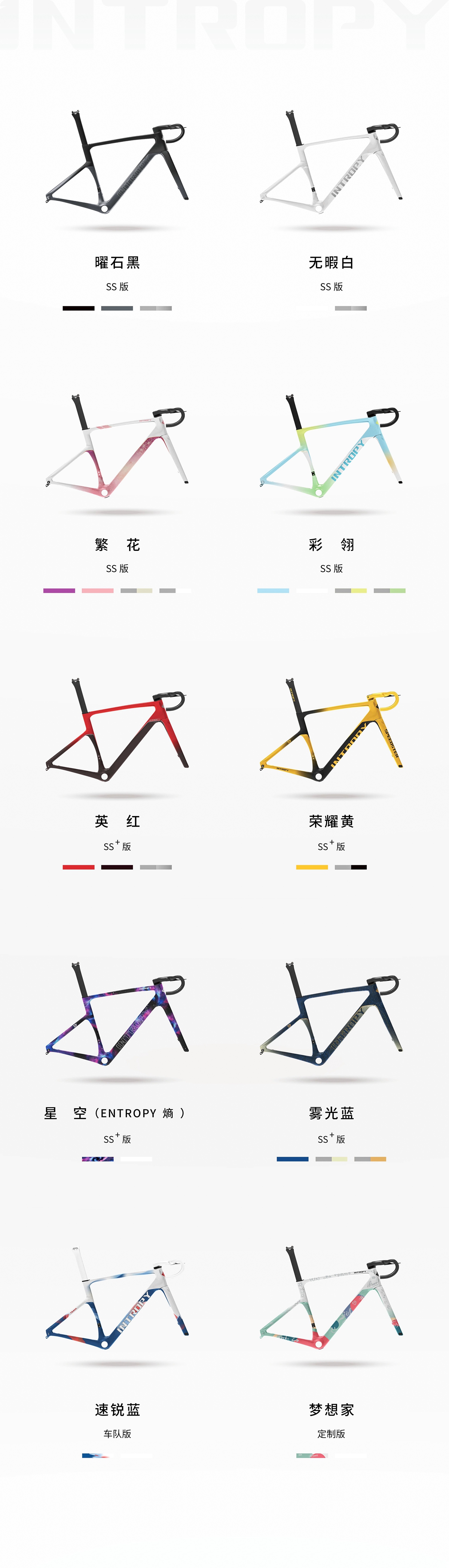 十年磨一劍 incolor首款公路車INTROPY上市