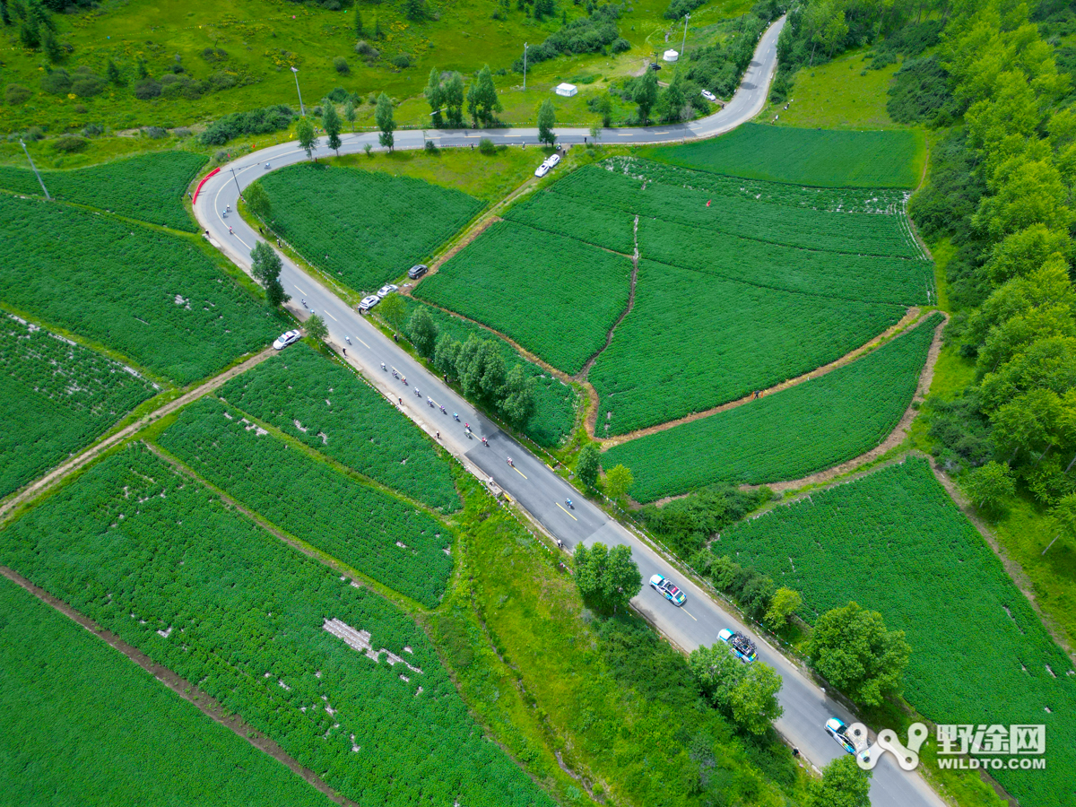 環(huán)湖賽S3：極速103 黃衫易主巴迪亞尼車隊(duì)