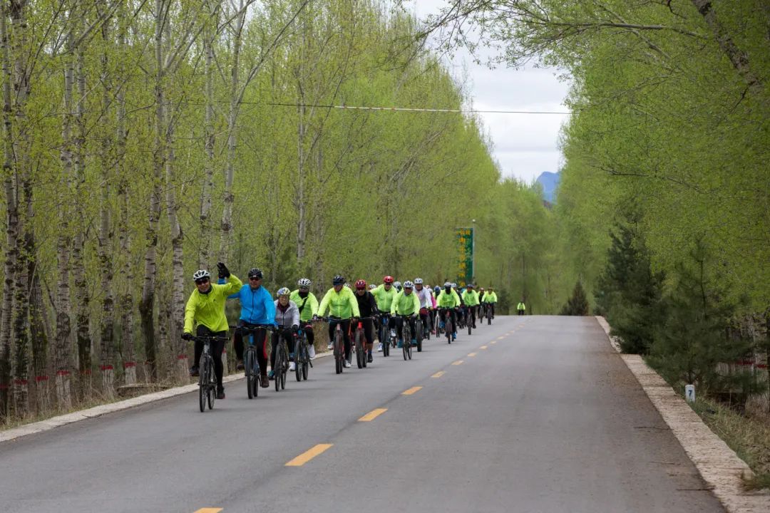 智能騎行，為地球充“植”！當e?Cycling遇見植樹節(jié)的雙向守護