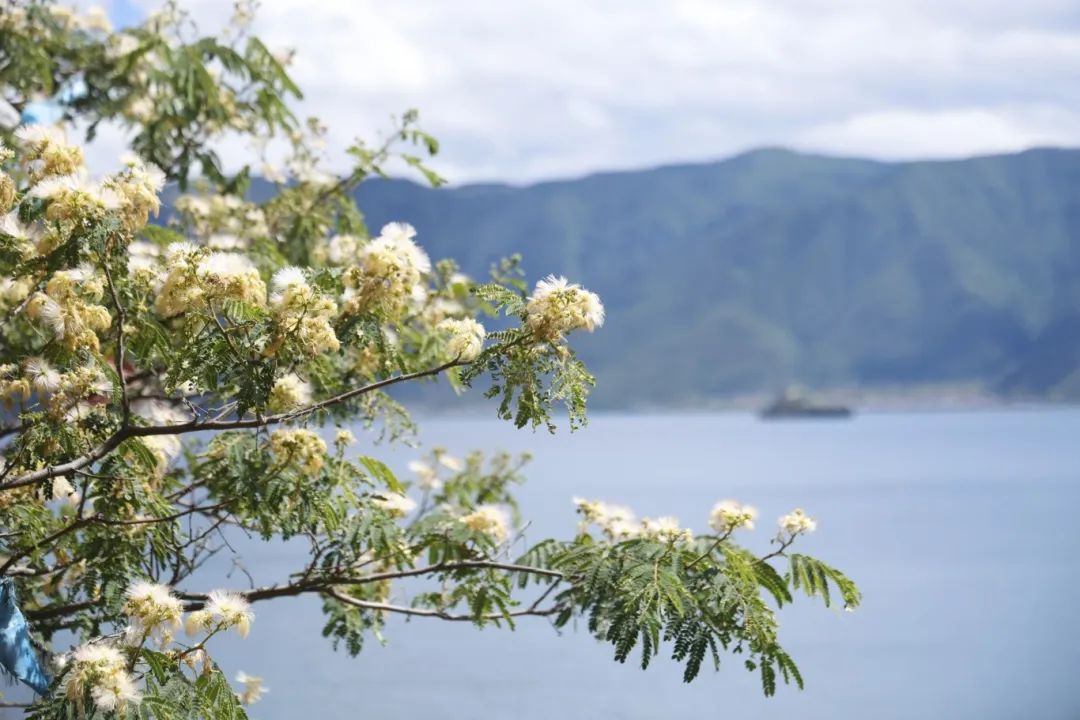 智能騎行，為地球充“植”！當e?Cycling遇見植樹節(jié)的雙向守護