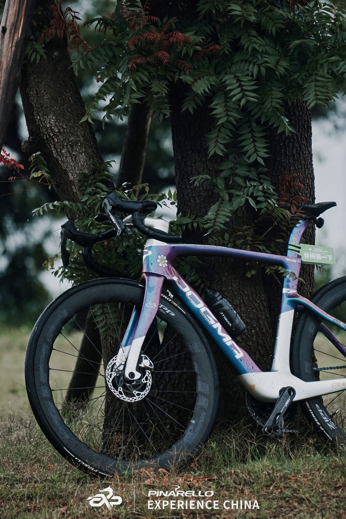 「织梦苍洱」  PINARELLO EXP CHINA活动圆满落幕