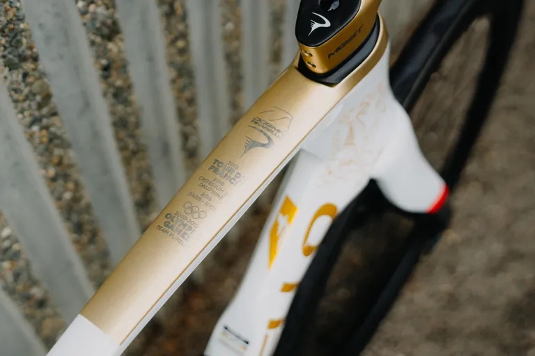 生涯最后一舞  托馬斯的特別版Pinarello