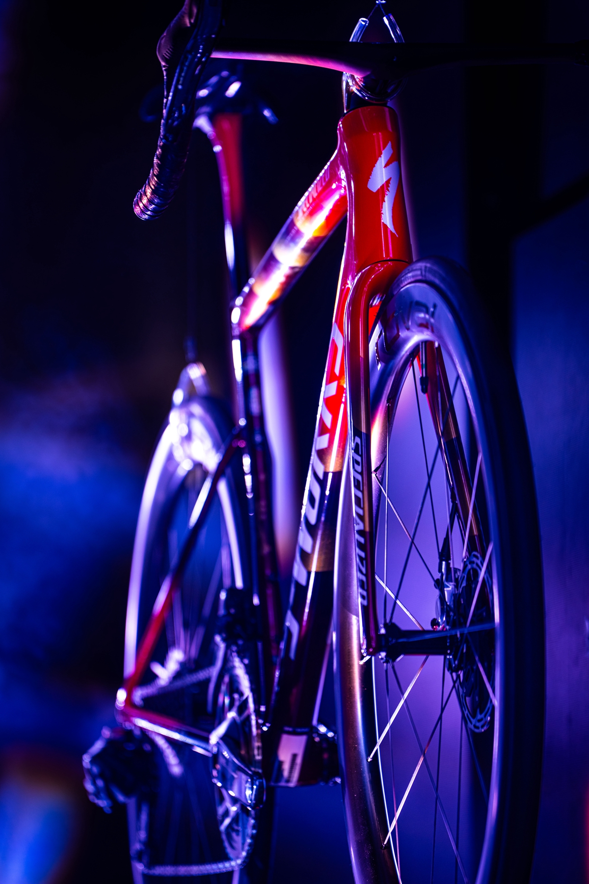 策马聘新春 良驹入梦来 | Specialized 双旗舰马年限量版发布