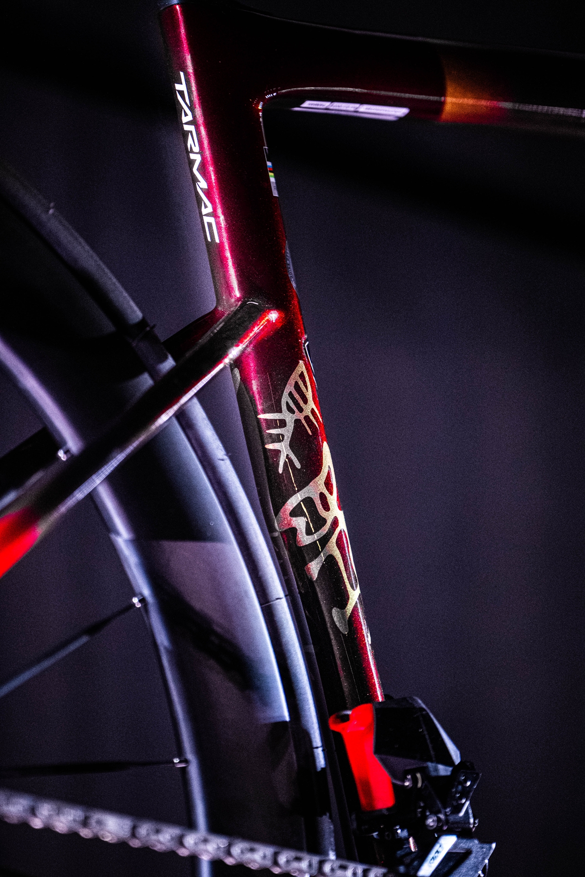 策马聘新春 良驹入梦来 | Specialized 双旗舰马年限量版发布