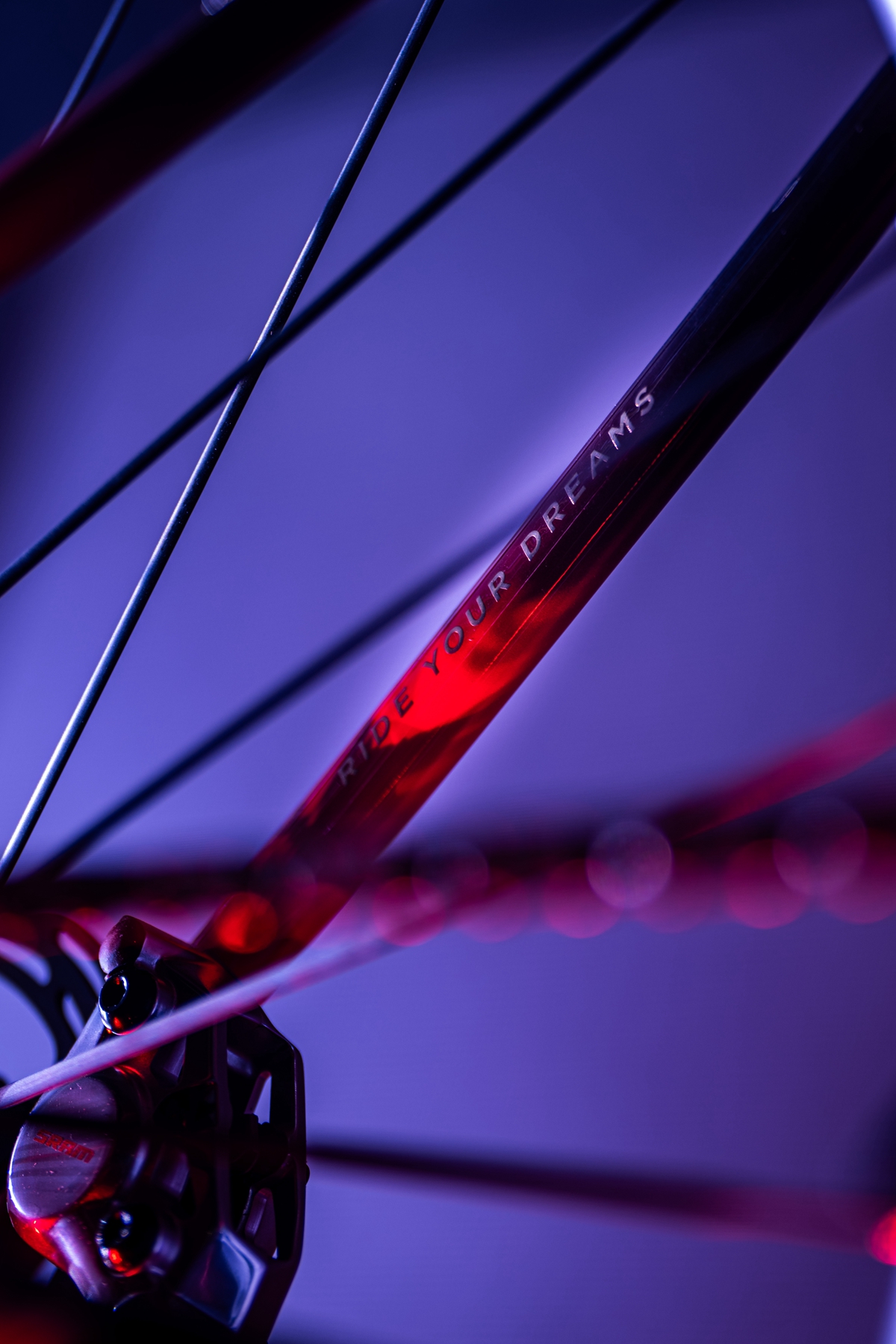 策马聘新春 良驹入梦来 | Specialized 双旗舰马年限量版发布