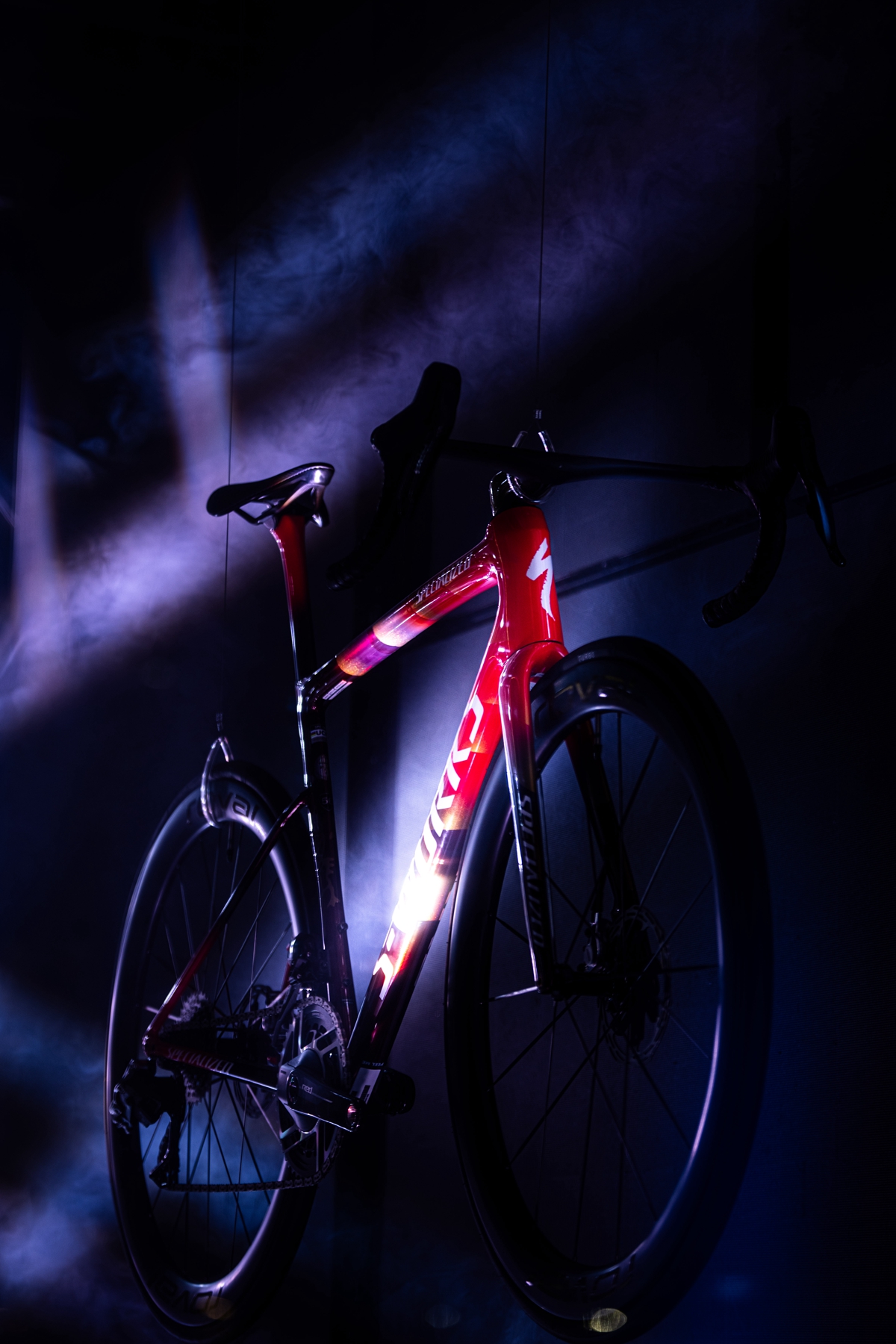 策马聘新春 良驹入梦来 | Specialized 双旗舰马年限量版发布