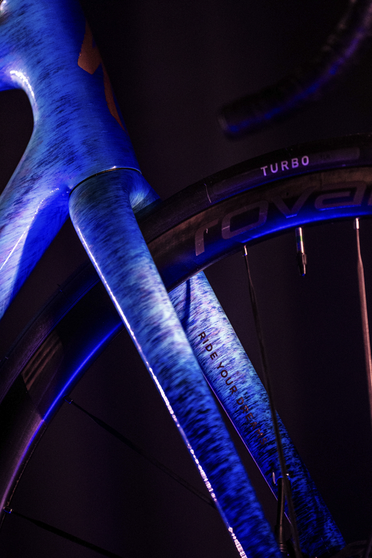 策马聘新春 良驹入梦来 | Specialized 双旗舰马年限量版发布