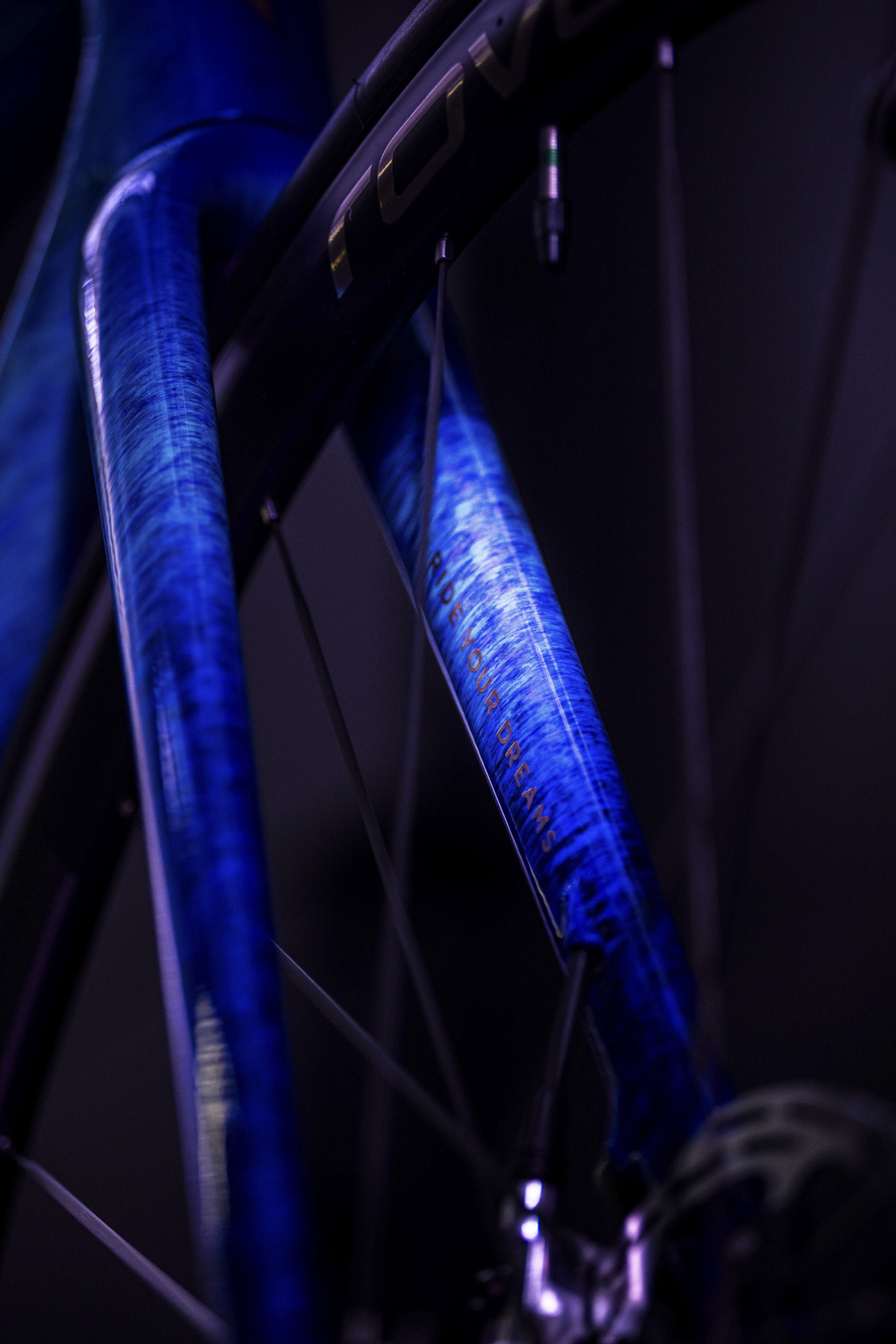 策马聘新春 良驹入梦来 | Specialized 双旗舰马年限量版发布