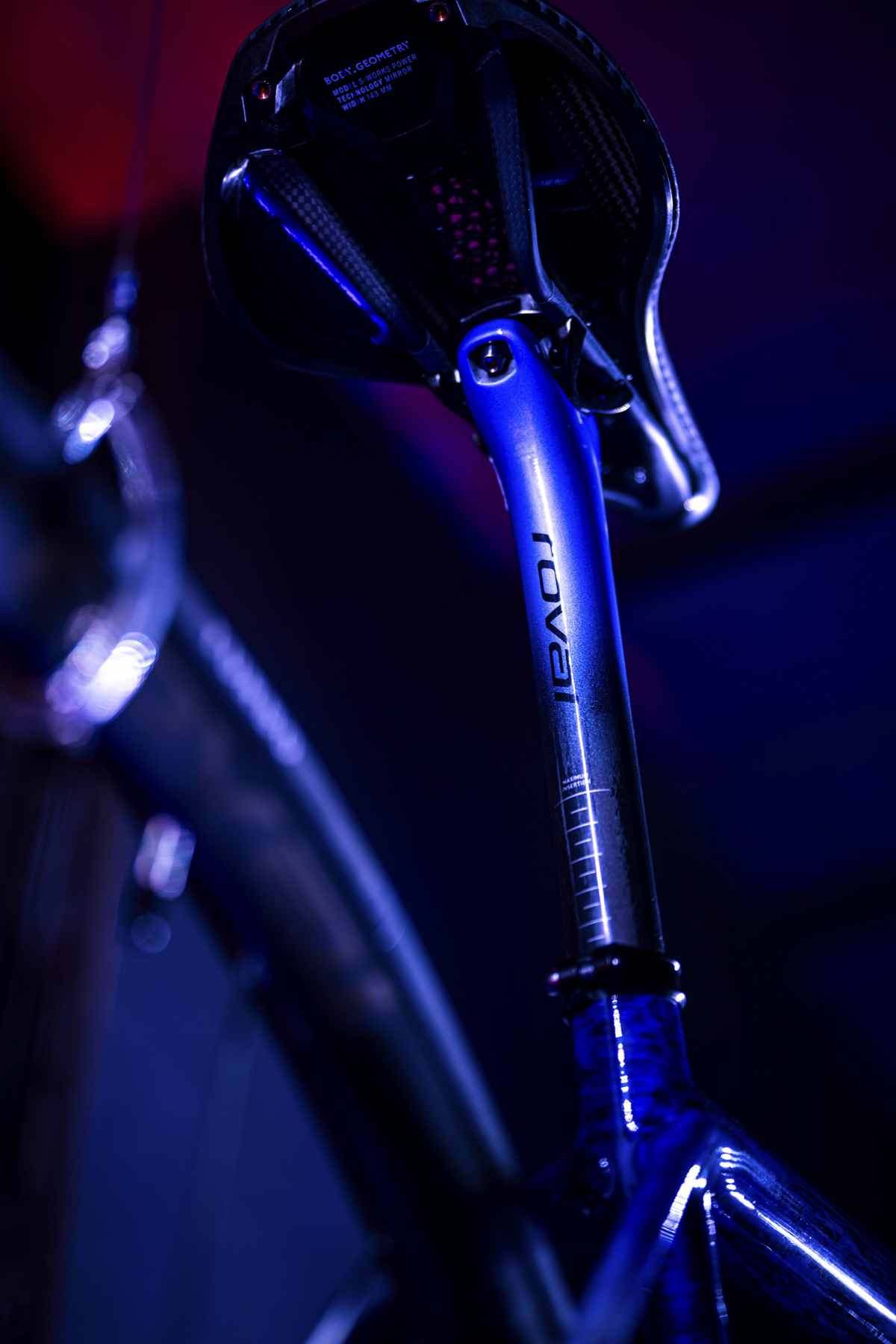 策马聘新春 良驹入梦来 | Specialized 双旗舰马年限量版发布