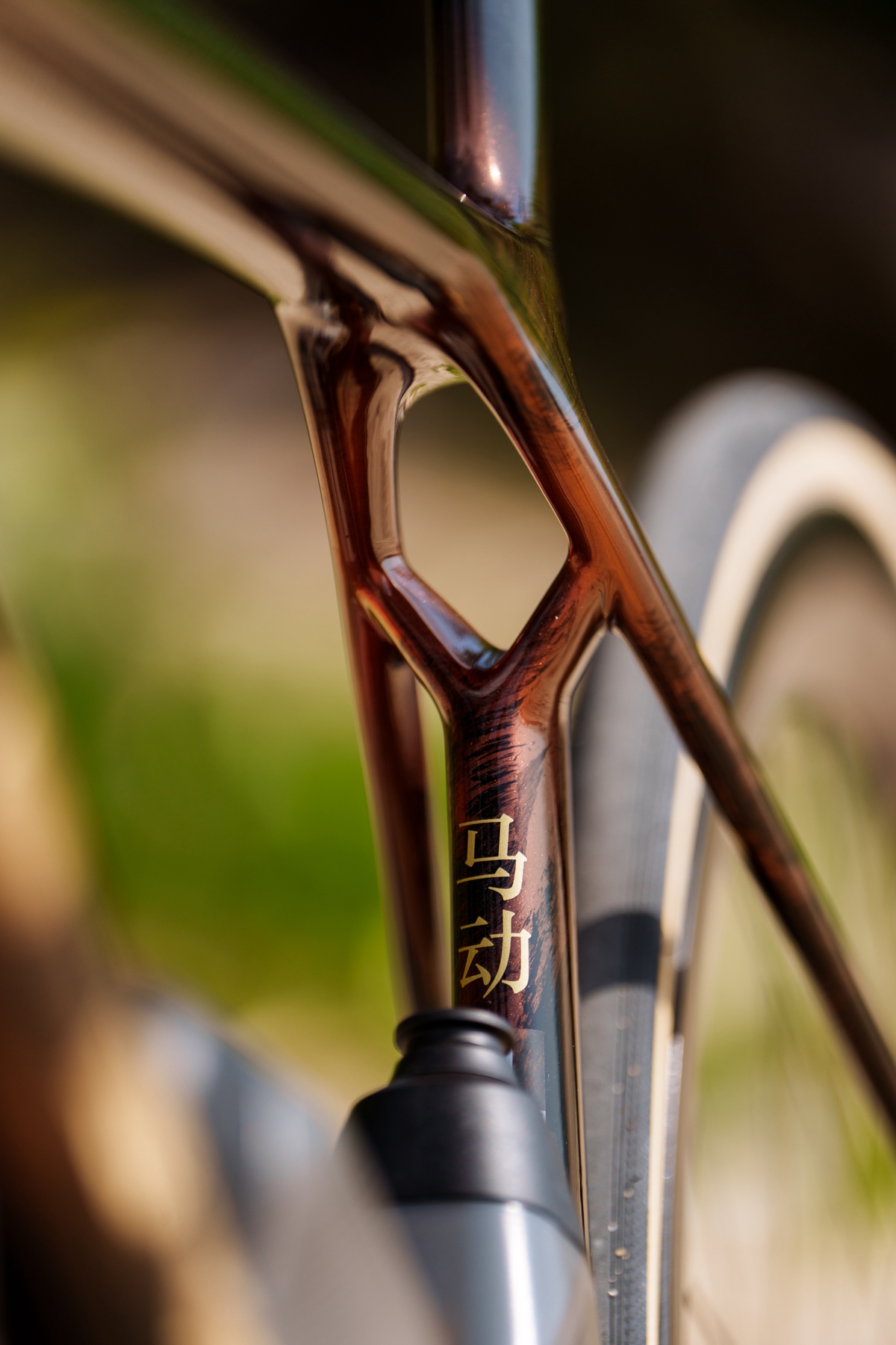 TREK 推出 Project One ICON Palomino “马动骁腾” 中国马年涂装