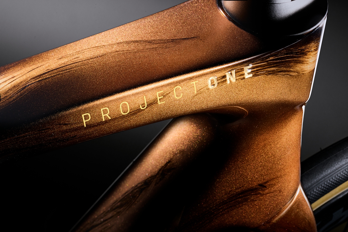 TREK 推出 Project One ICON Palomino “马动骁腾” 中国马年涂装