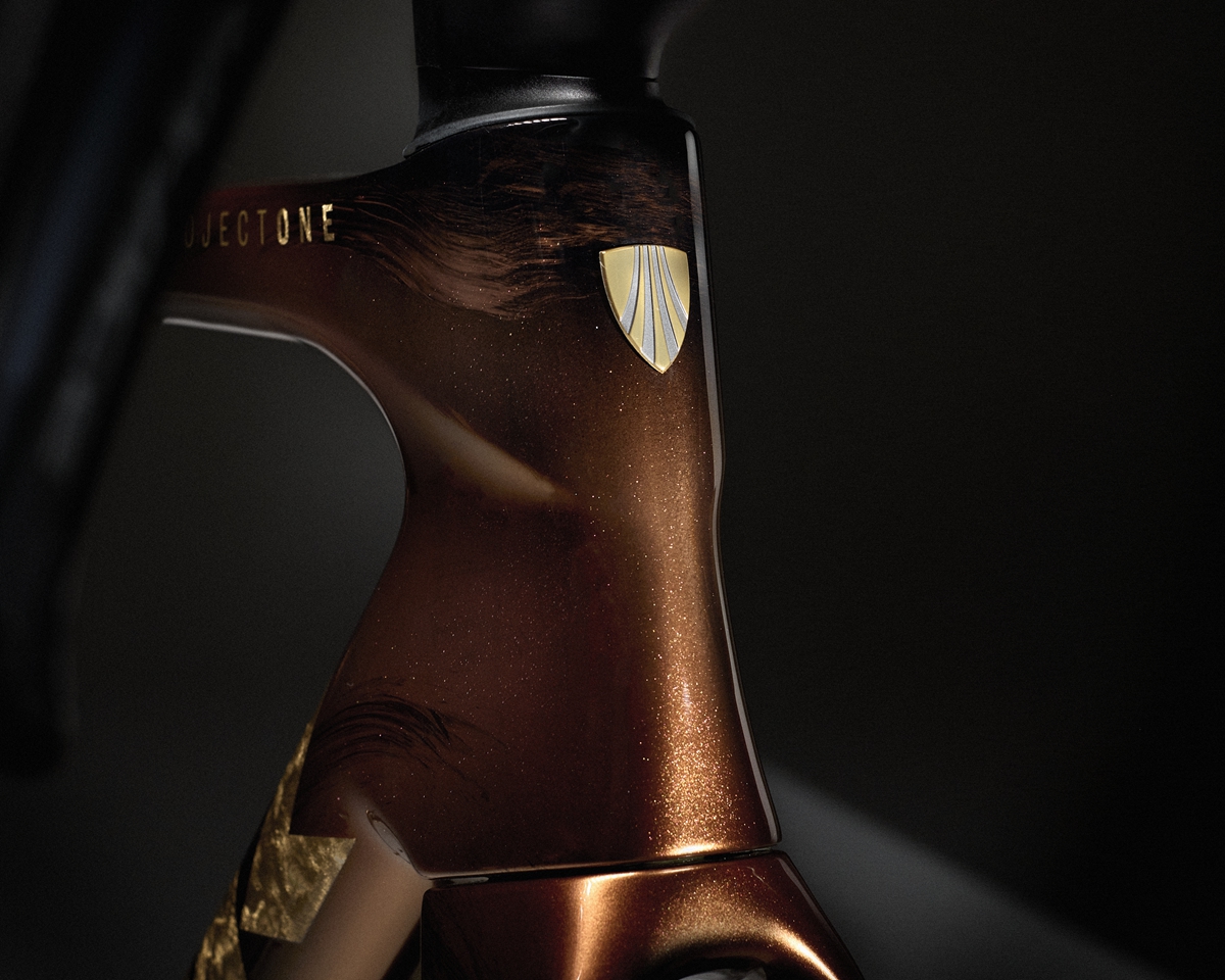 TREK 推出 Project One ICON Palomino “马动骁腾” 中国马年涂装