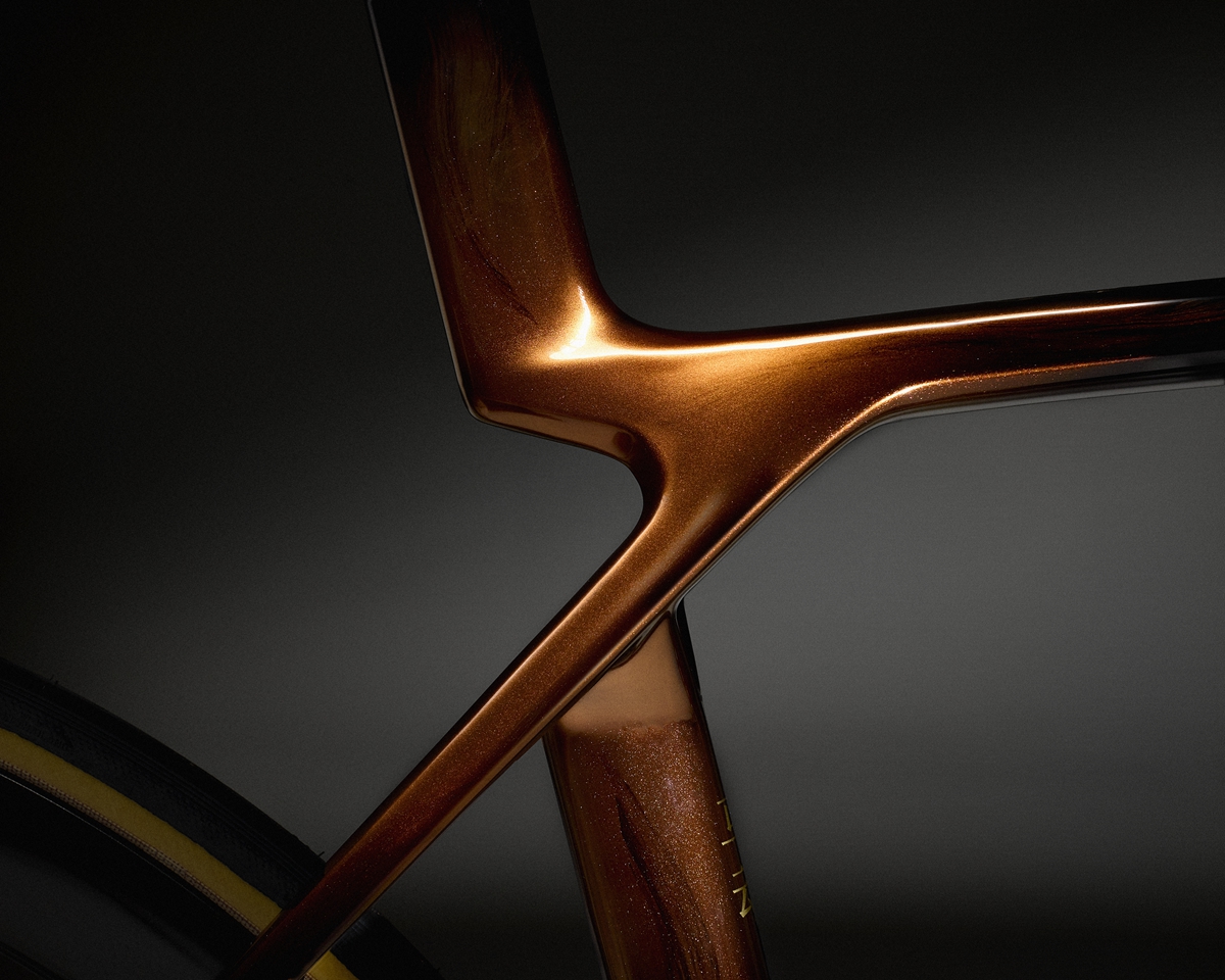 TREK 推出 Project One ICON Palomino “马动骁腾” 中国马年涂装