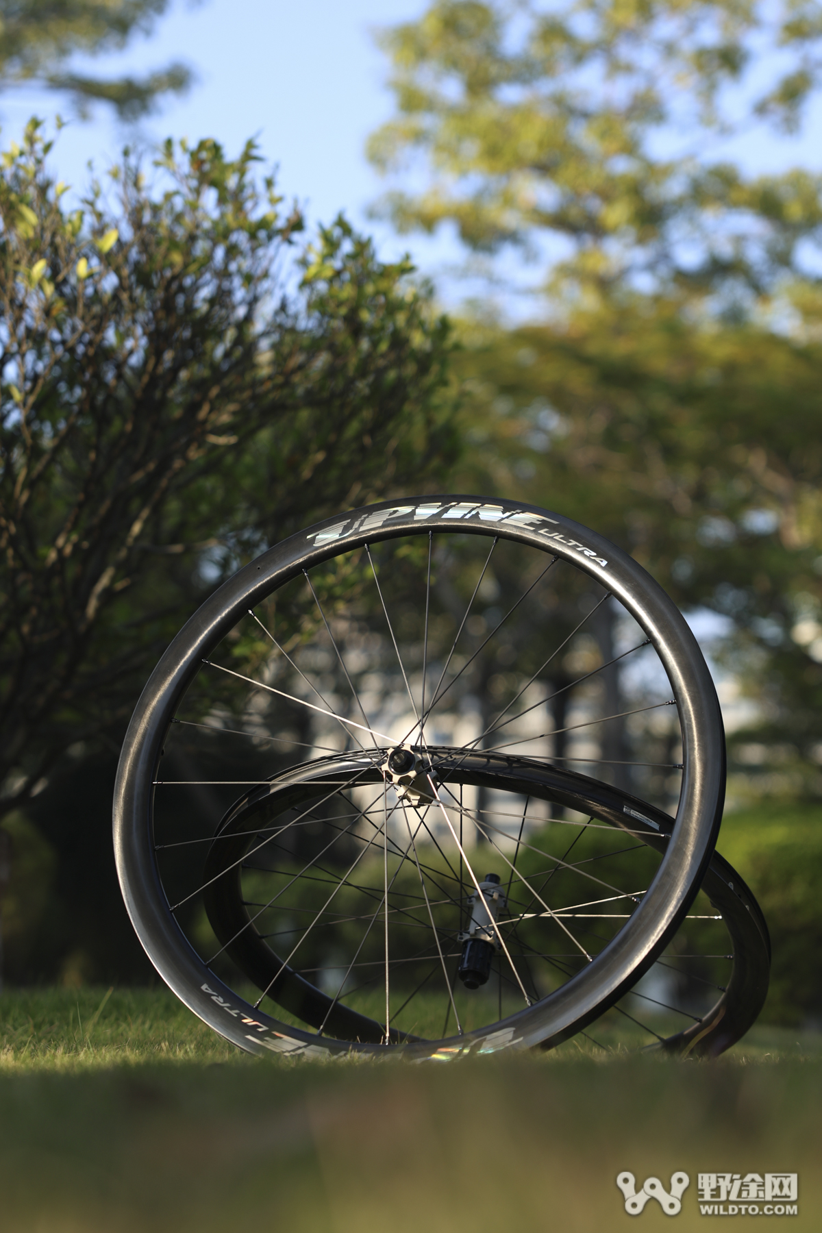 不止于“轻”   950g的静藤Ultra公路轮组究竟如何？