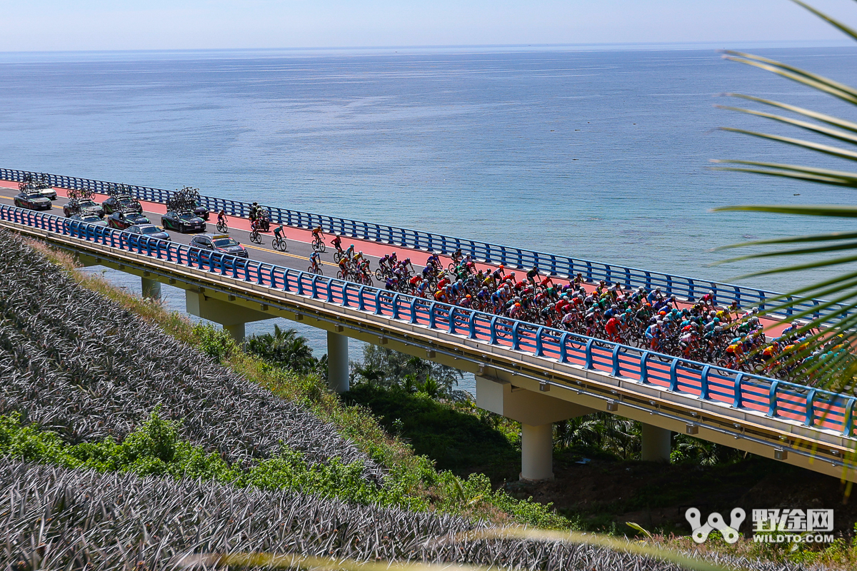 速度与安全的平衡：职业车手共议自行车运动安全改革方向