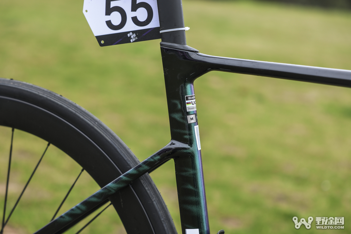 精修而非大改  捷安特 Propel Advanced PRO 公路车