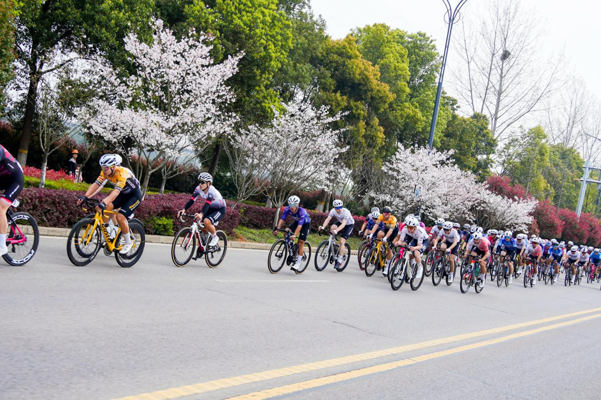 2026中国公路自行车公开赛（湖北枝江站） 鸣枪开赛  千名车手竞速“三峡水乡”