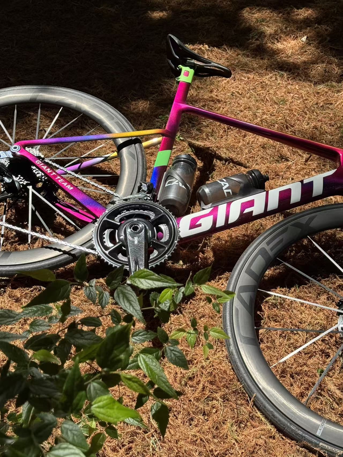 全新CADEX MAX50轮组，车队赛场评价给到夯