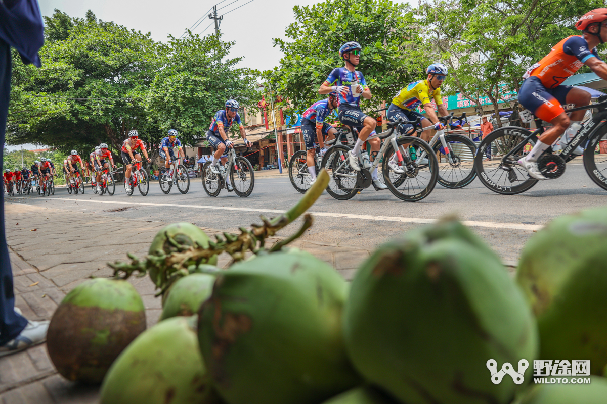 “理想汽车杯”2026环岛赛S2：喜德盛阿斯塔纳赢赛段，并穿上黄衫