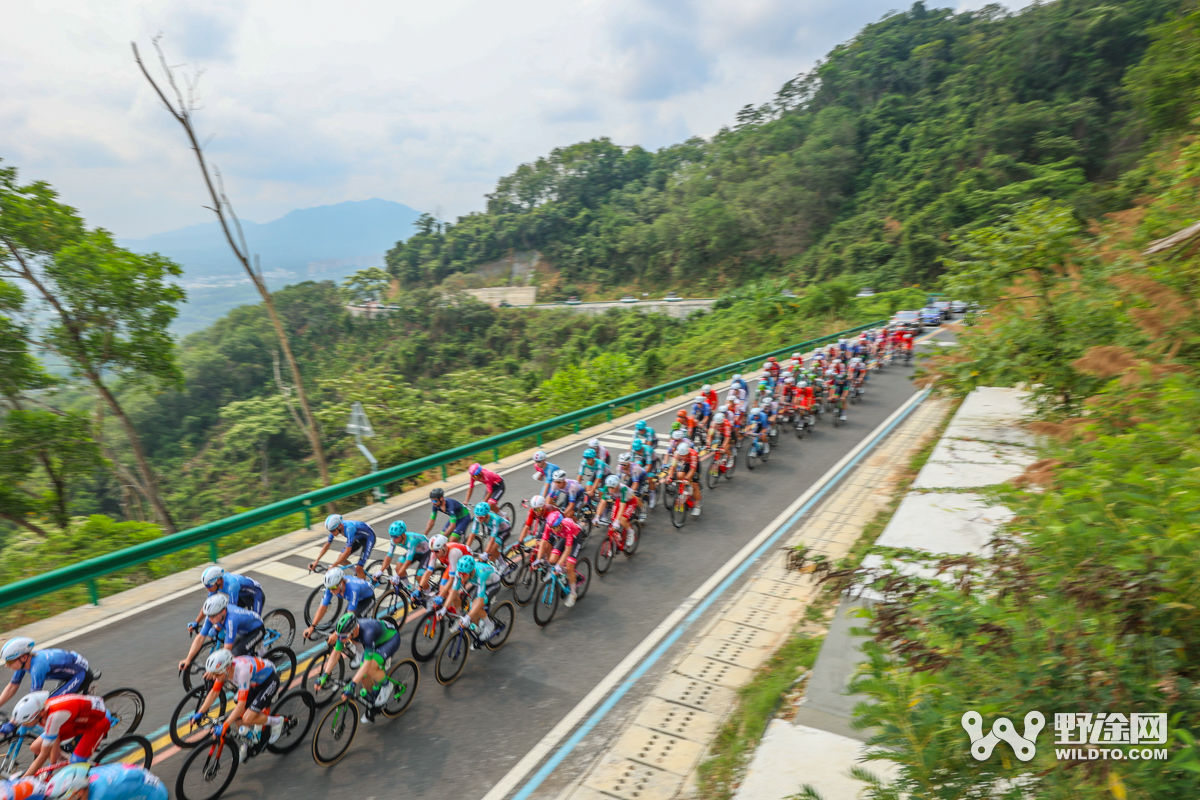 “理想汽车杯”环岛赛S5：李宁车队赢收官战 喜德盛阿斯塔纳问鼎总冠军