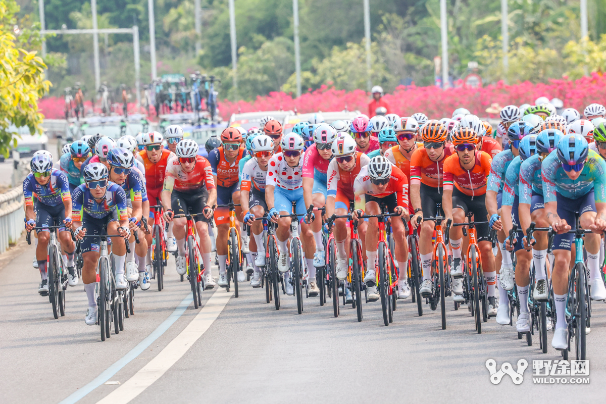 “理想汽车杯”环岛赛S5：李宁车队赢收官战 喜德盛阿斯塔纳问鼎总冠军