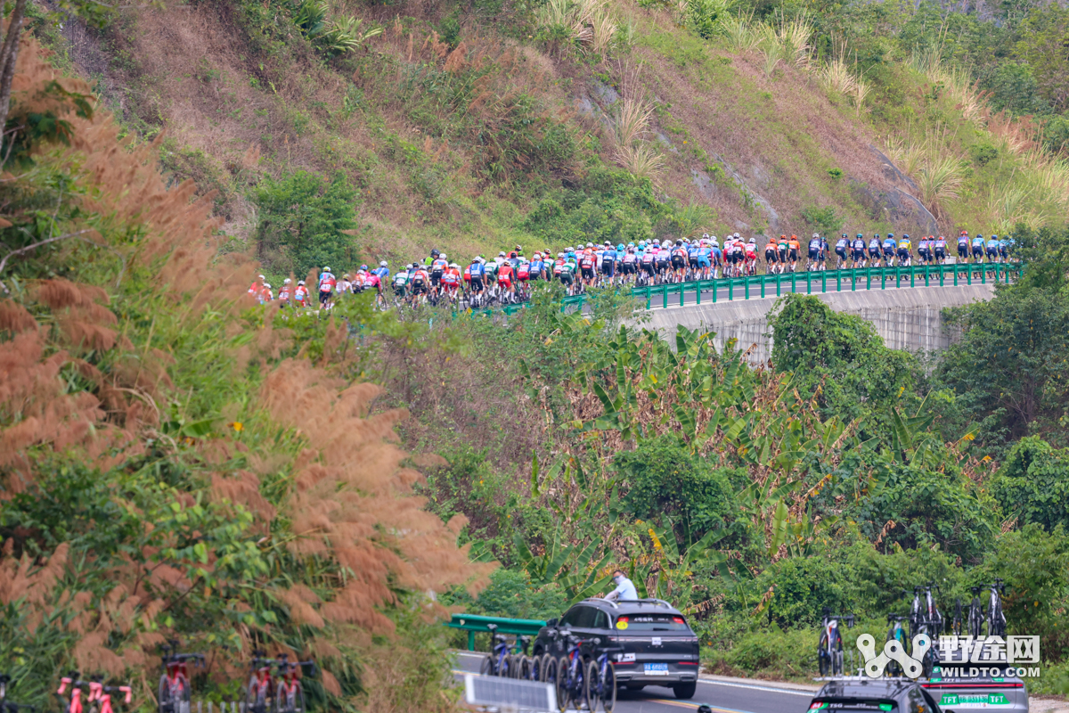 “理想汽车杯”环岛赛S5：李宁车队赢收官战 喜德盛阿斯塔纳问鼎总冠军