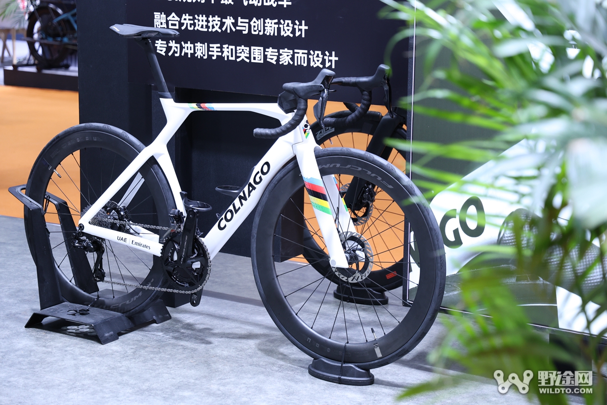 中国展 D2 | 国际品牌逐步回归  BigRock 32er山地车曝光
