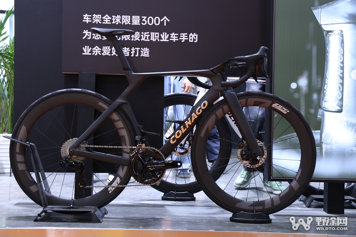 中国展 D2 | 国际品牌逐步回归  BigRock 32er山地车曝光