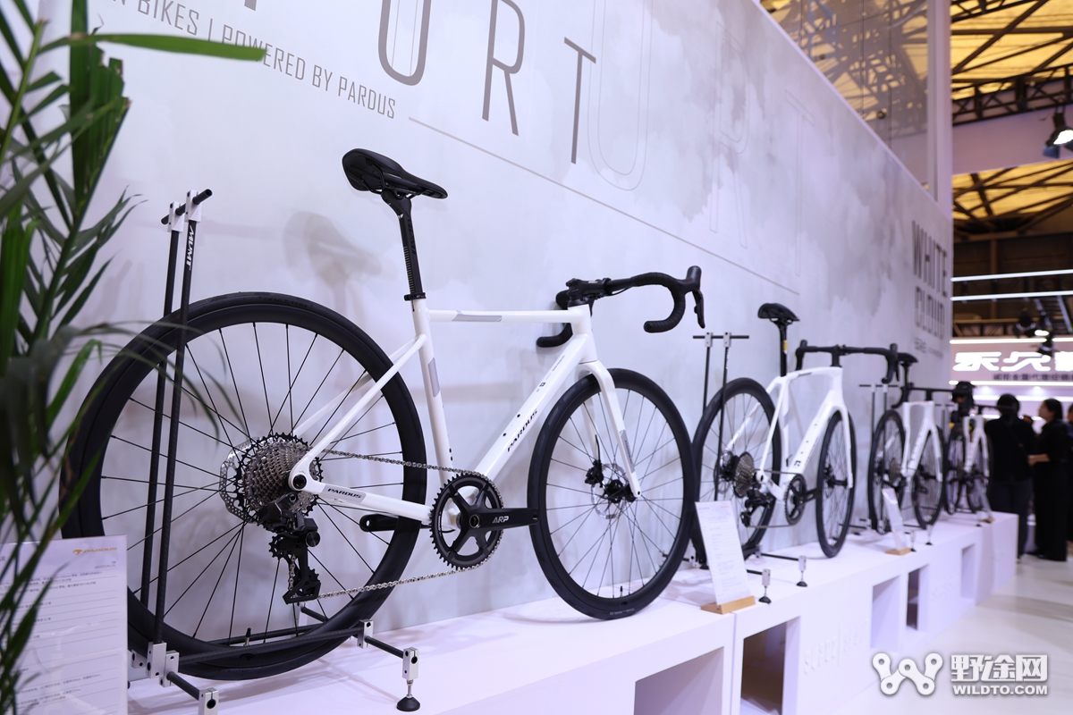 中国展 D2 | 国际品牌逐步回归  BigRock 32er山地车曝光