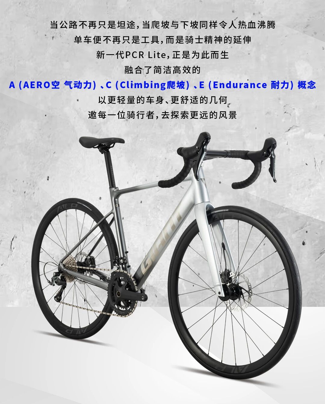 GIANT PCR Lite 1｜轻骑逐风，亦享酷帅