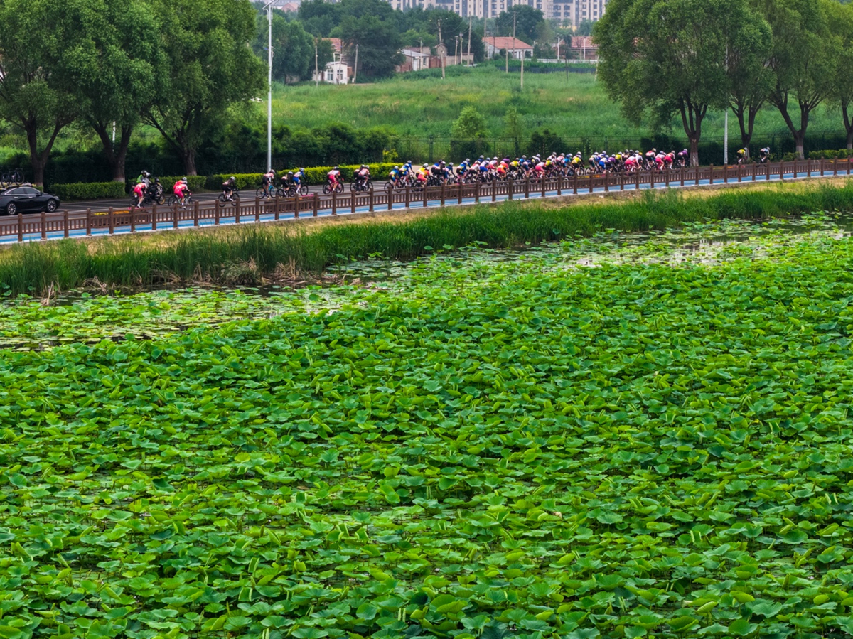 2026年全国公路自行车锦标赛暨全国青年公路自行车锦标赛在沈阳康平圆满落幕