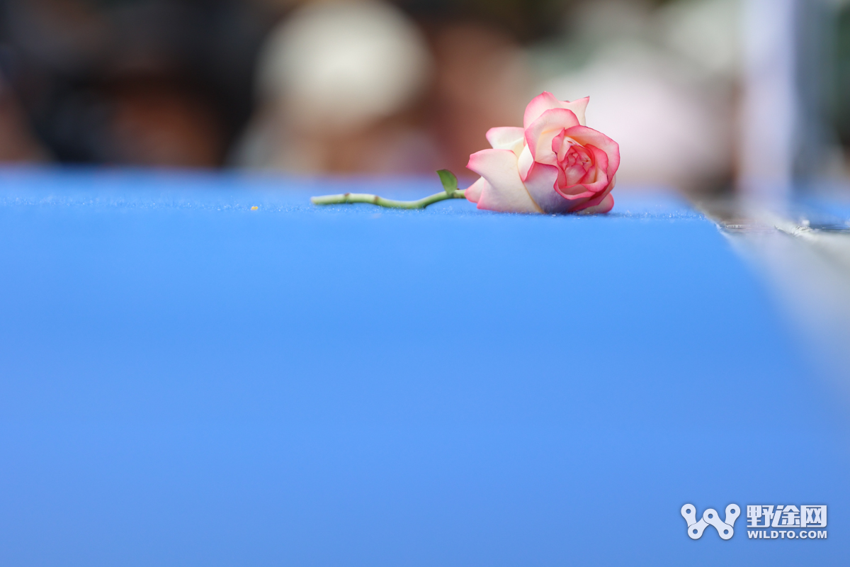 环青赛S2：徜徉油菜花海 黄衫易主波蒂车队