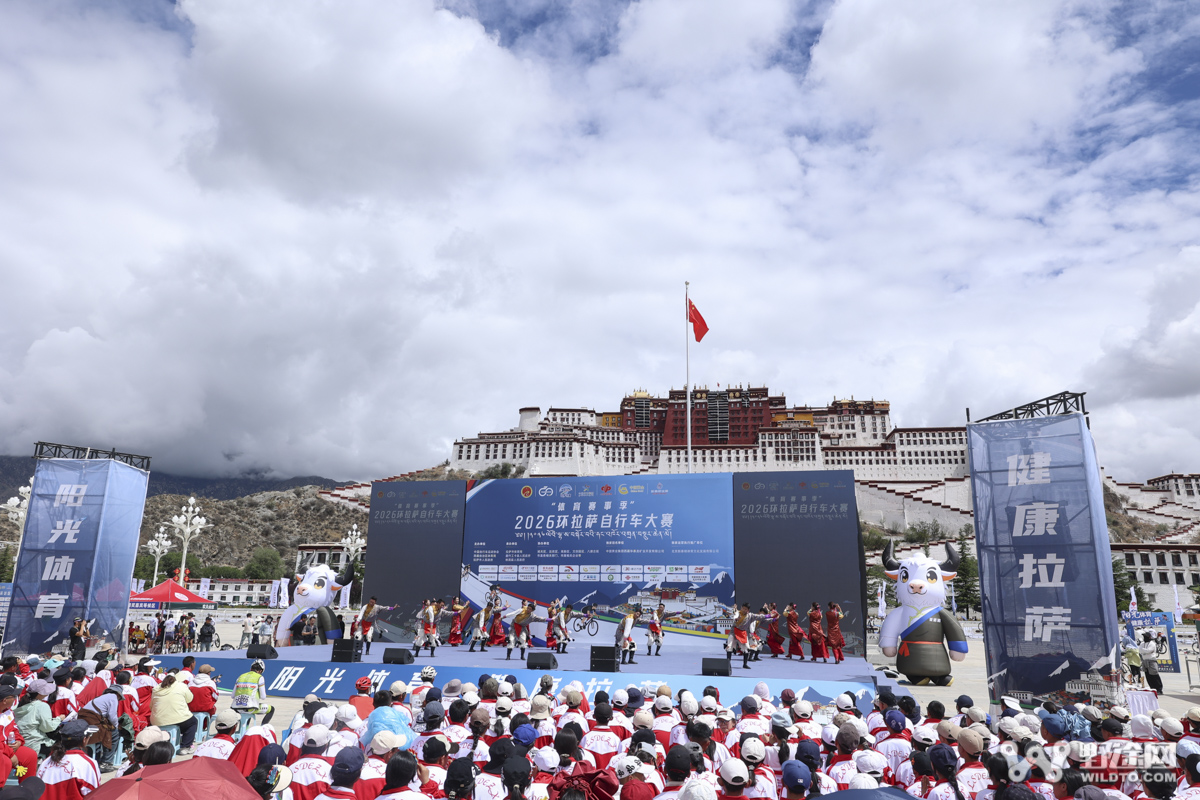 2026环拉萨收官战 | 高士特车队维塔利登顶摘冠