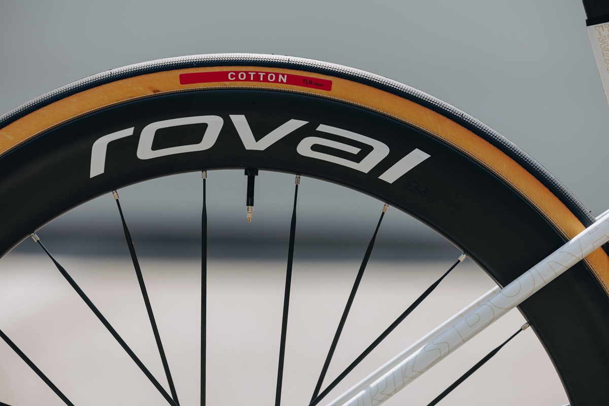 金色征途  S-Works Tarmac SL9 Remco限量版