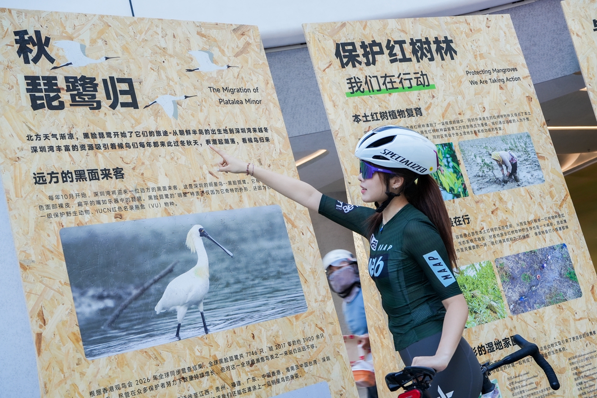 BIKEWORKS 佰客屋 × 英雄联盟手游｜「骑者召唤 守护湿地」公益联动