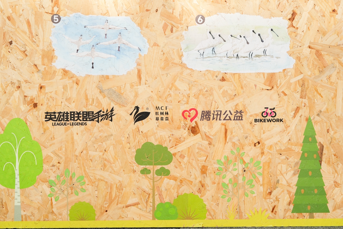BIKEWORKS 佰客屋 × 英雄联盟手游｜「骑者召唤 守护湿地」公益联动